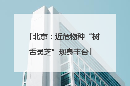 北京：近危物种“树舌灵芝”现身丰台